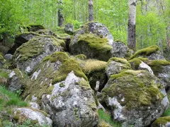 Olden Rocks