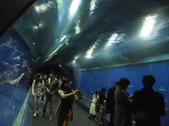 P128 Aquarium